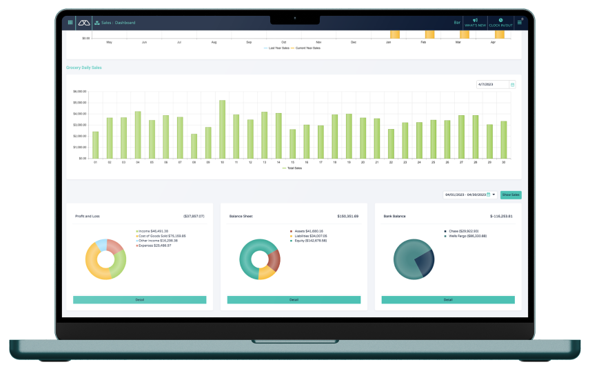 Screen displaying Modisoft sales dashboard.
