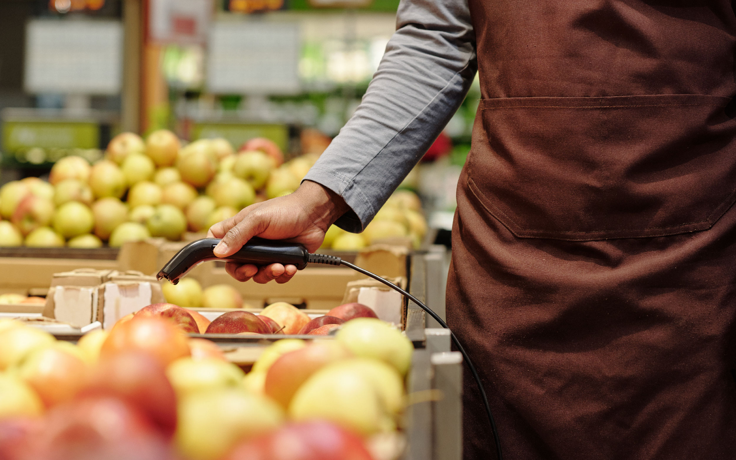 Modisoft starting a profitable grocery store in a few steps startup guide