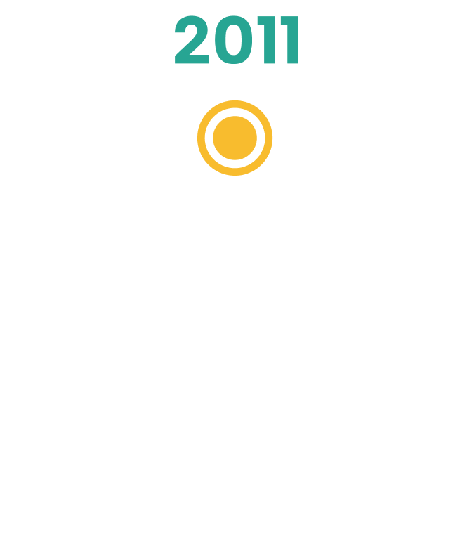 year 2011